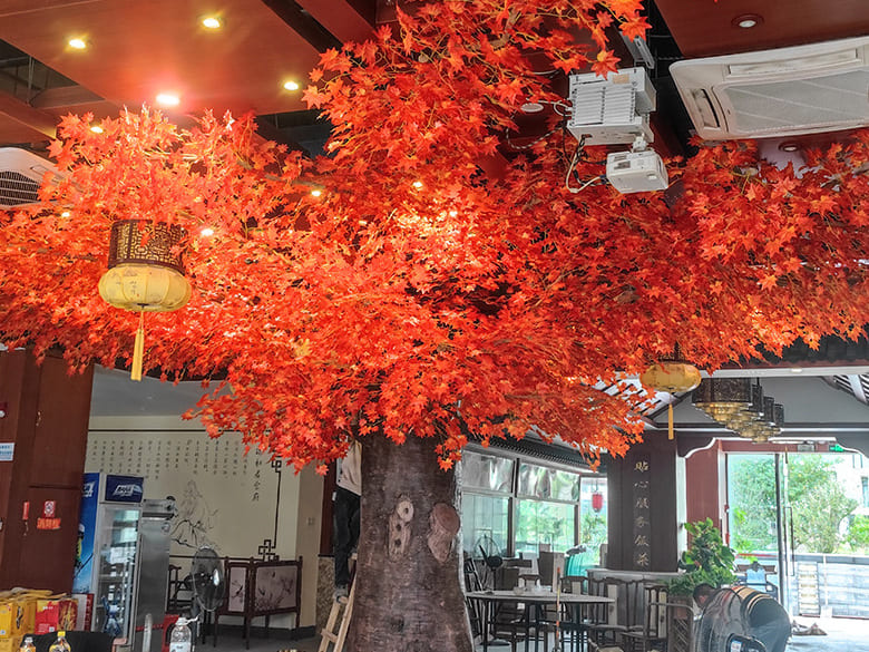 Simulated maple trees interpret autumn