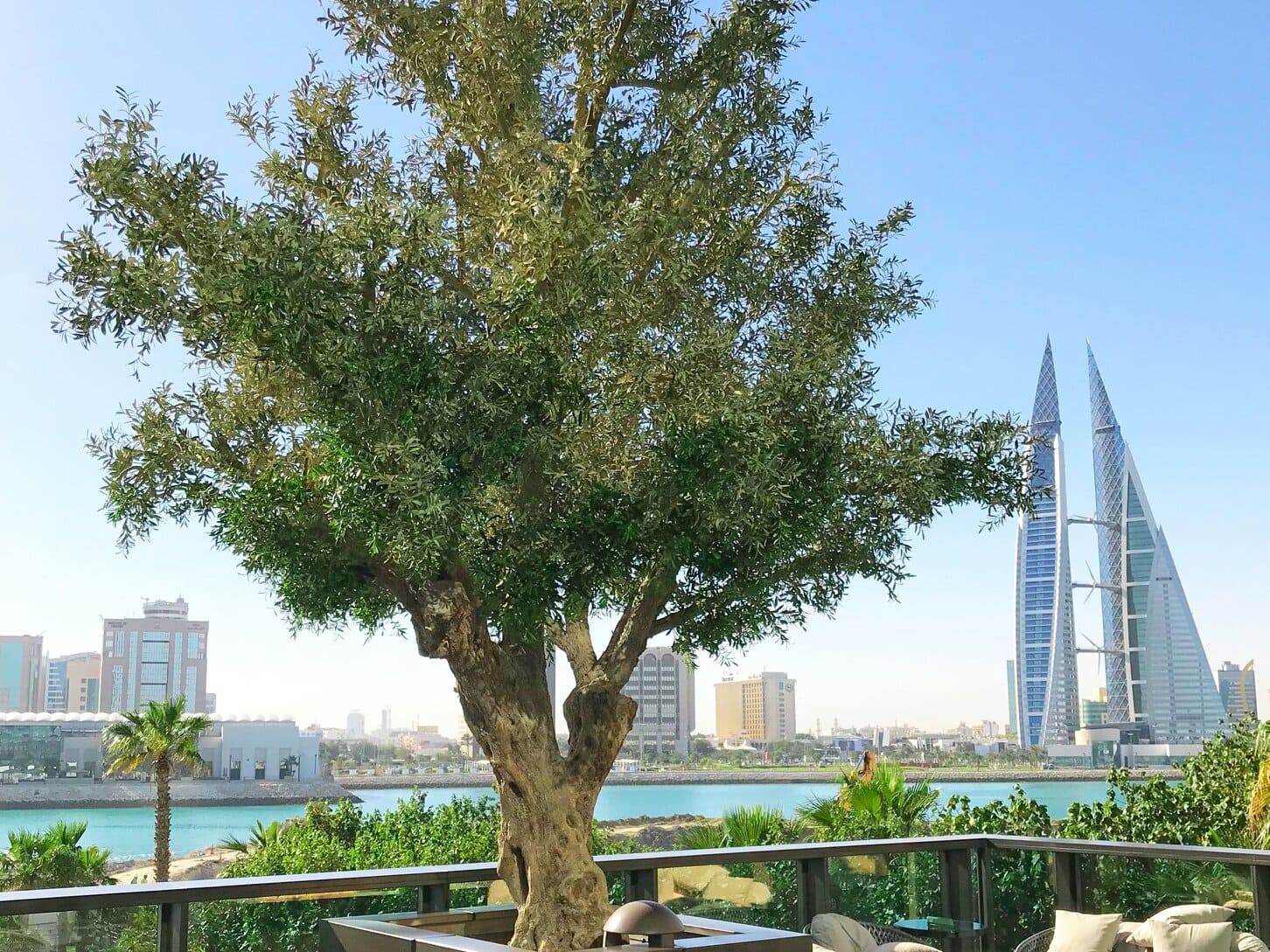 Outdoor artificial olive trees would be your perfect choice