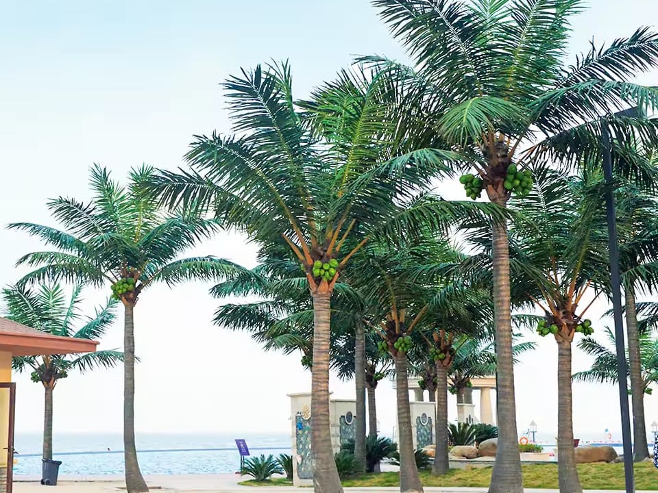 Artificial coconut palm trees make your landscape amazing